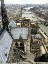 A view of the Seine from Notre Dame.
