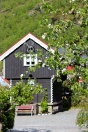 A more traditional Norwegian House.