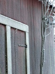 Check out how frost turns a lakeside barn into an old-timey tintype photo.